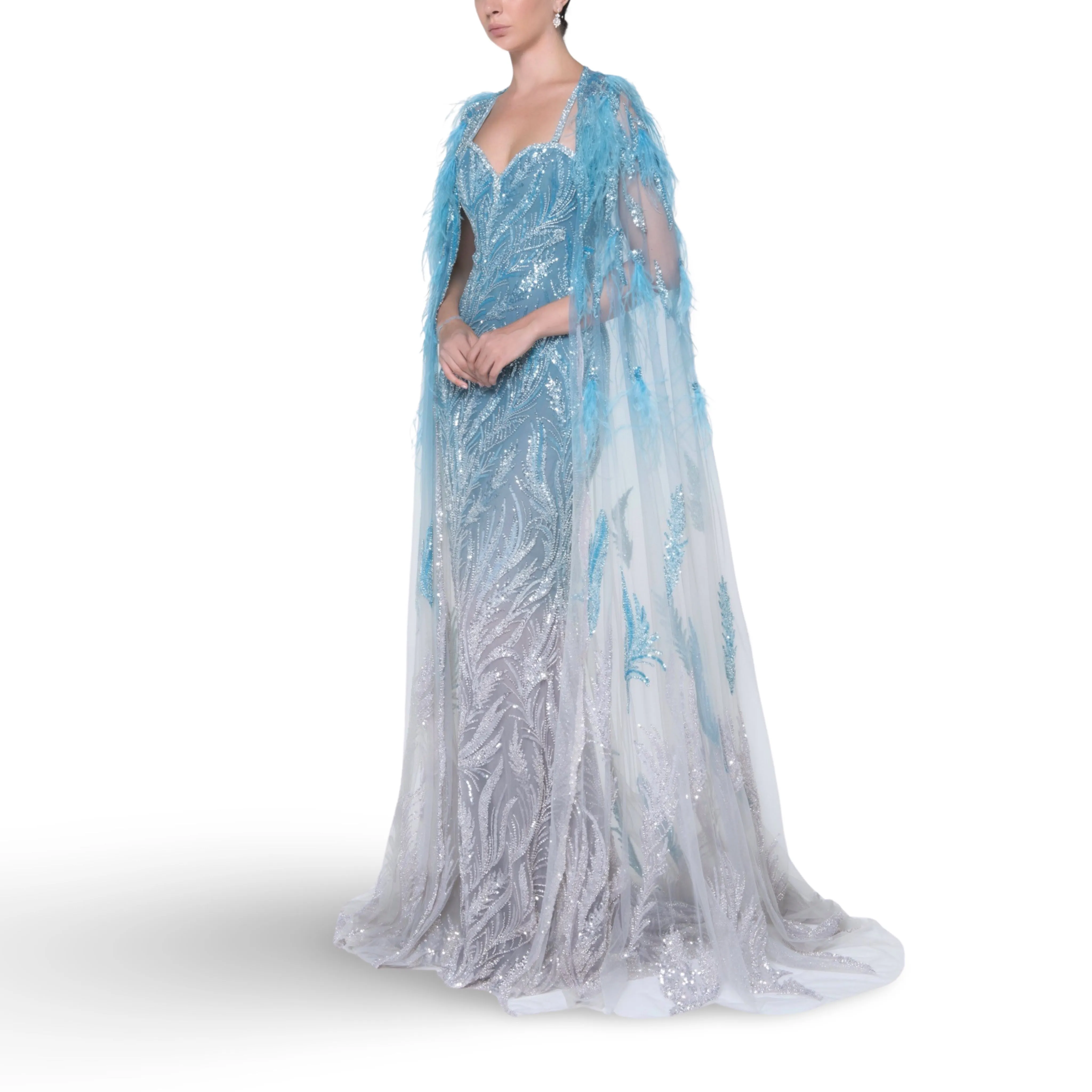 Blue To Silver Gradient Embroidered Tulle Dress